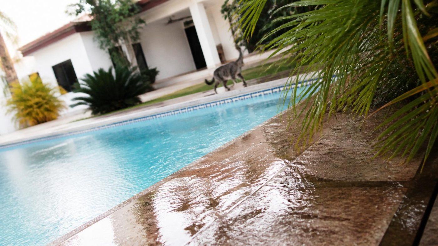 Una niña de 3 años murió ahogada tras seguir a un gato hacia la piscina de una villa en Puerto Plata