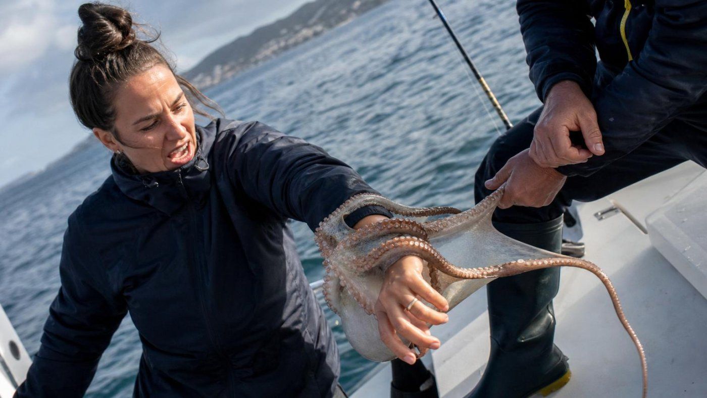 Un pulpo se aferró a su mano y Angie Hidalgo se defendió: “Lo volvimos a echar al mar”