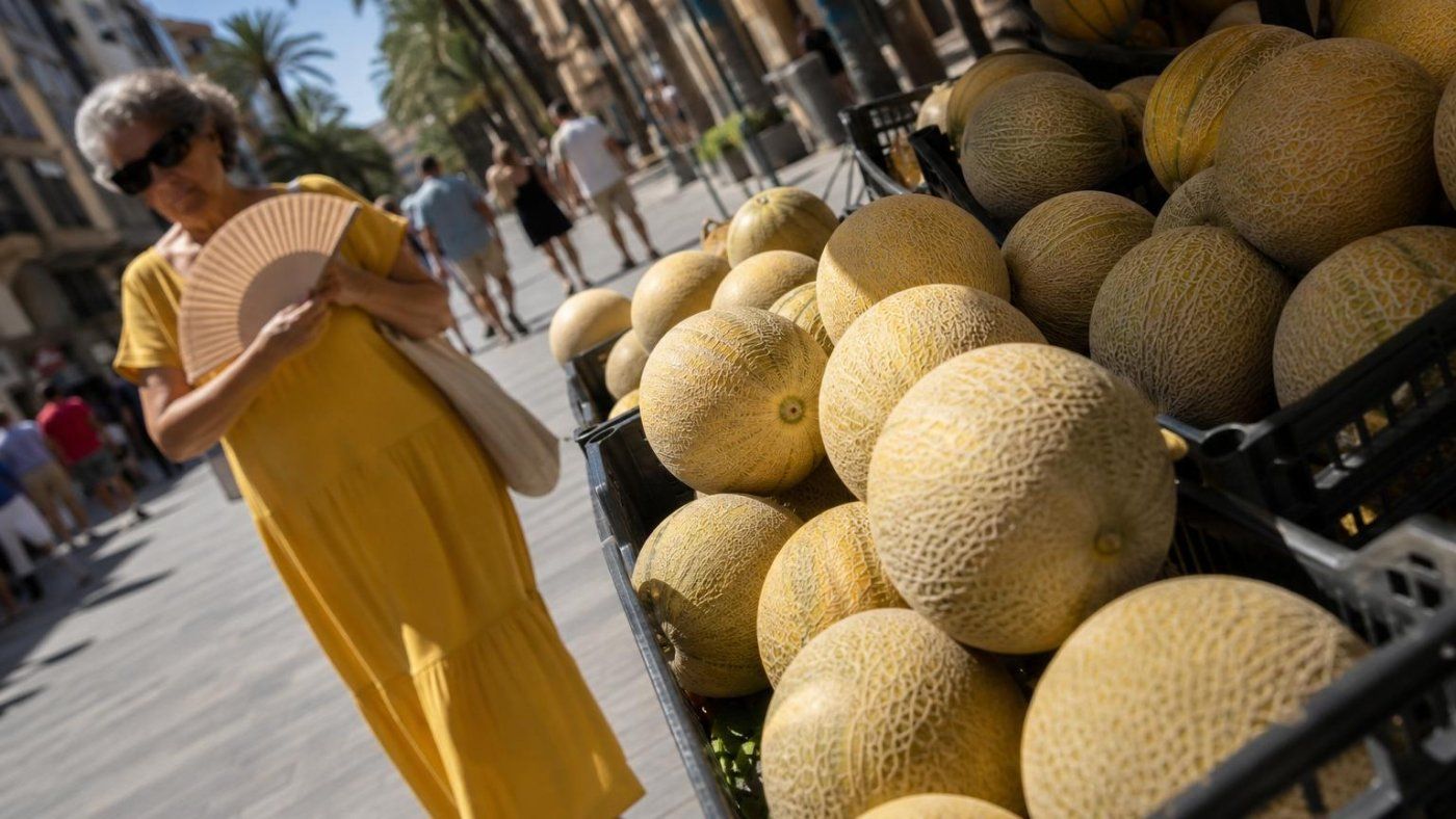 Elche pasa de 36 grados y noches a 25 a abonos un 56% más caros y un melón que duplica su precio